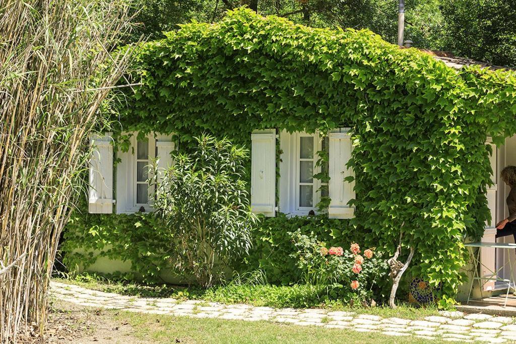 Les Gites Du Domaine De Rhodes أفينيون الغرفة الصورة